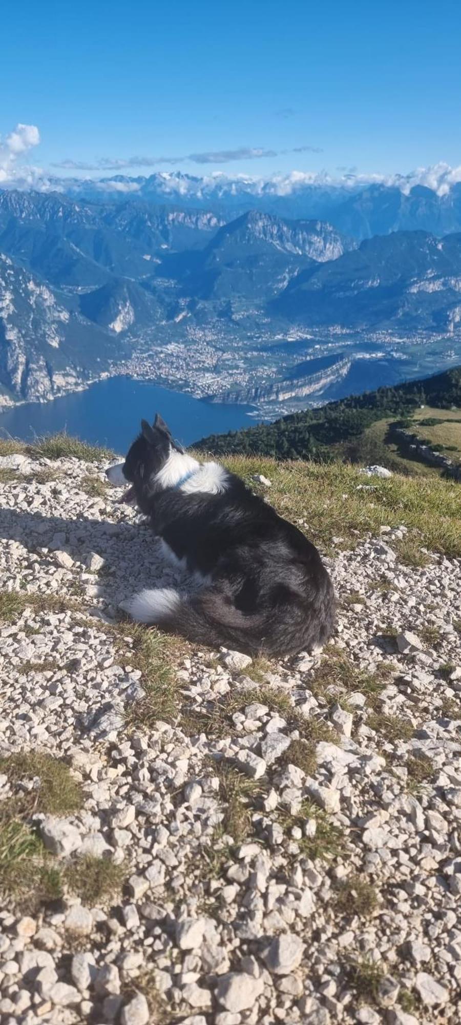 Garden & Pool Perugini Apartment Torbole Sul Garda Екстериор снимка