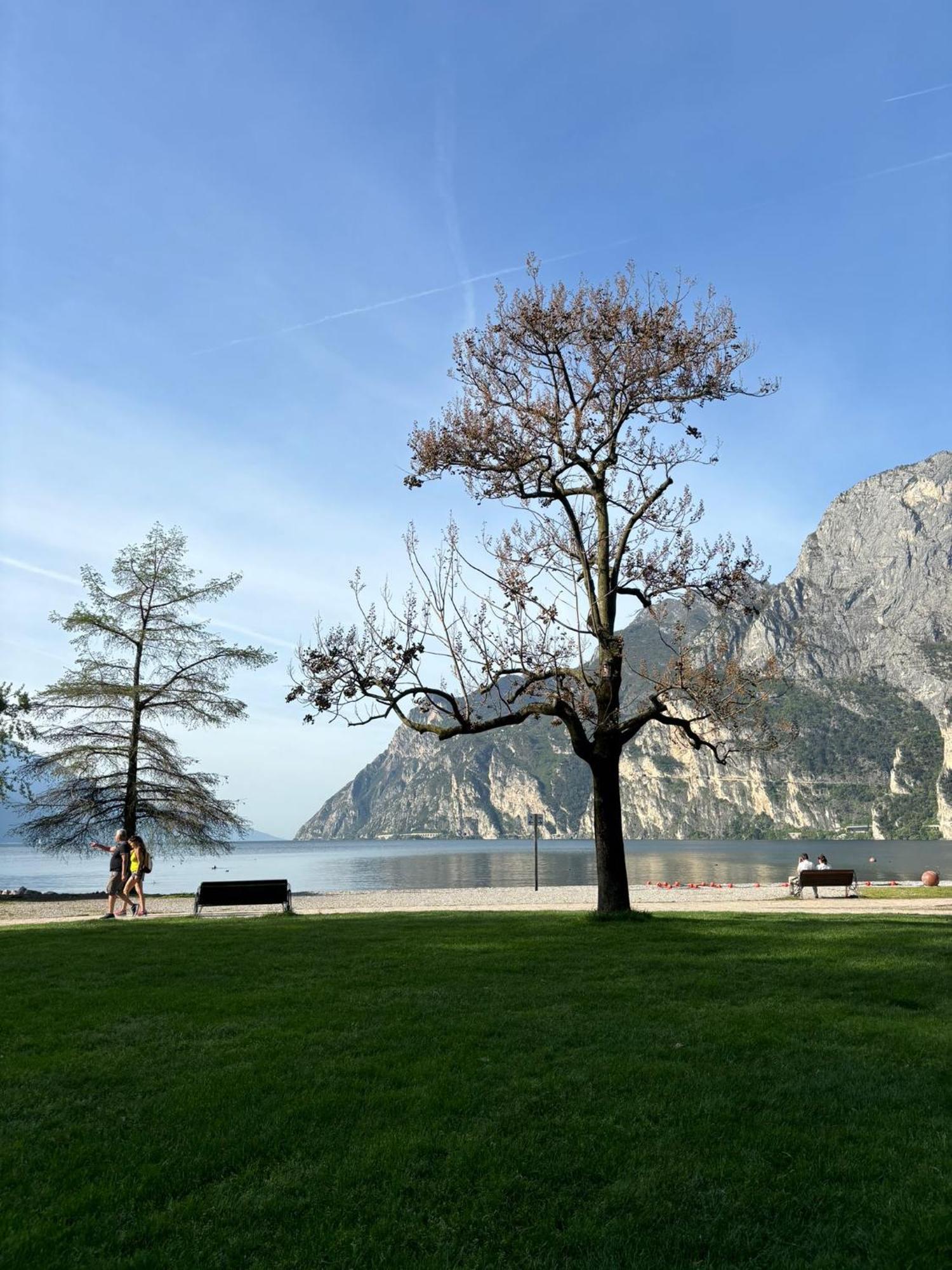 Garden & Pool Perugini Apartment Torbole Sul Garda Екстериор снимка